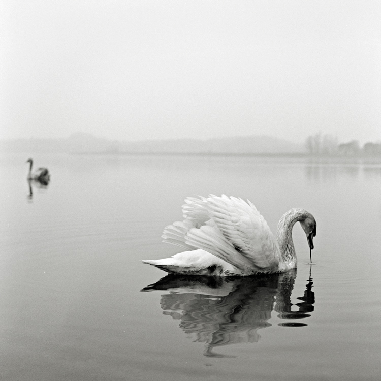 Scan-110220-0009edit.jpg