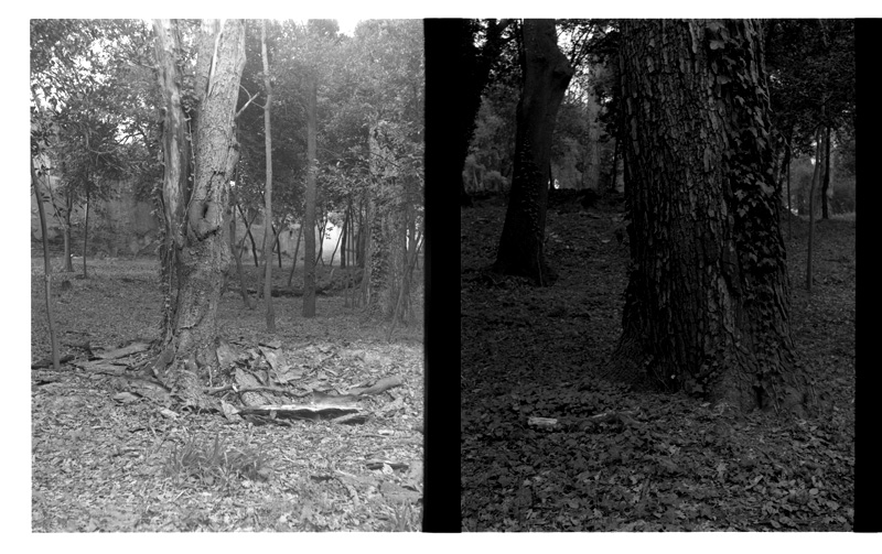 secondo rullo ok.jpg