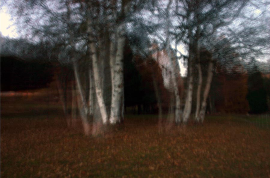 Senza titolo-1 copia.jpg