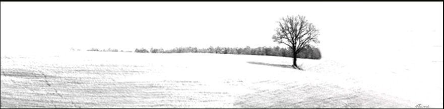 Senza titolo-risposta.jpg