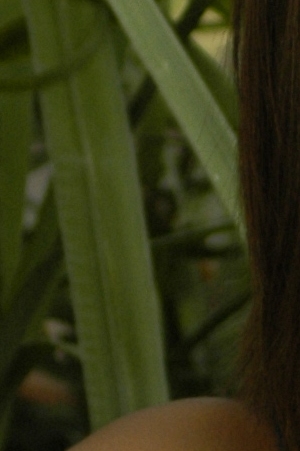 serena_crop.jpg