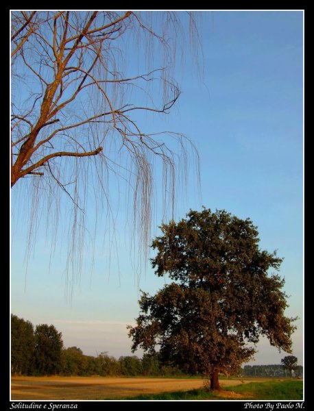 solitudineesperanza800x400.jpg