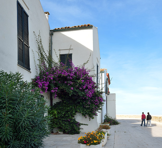termoli.jpg