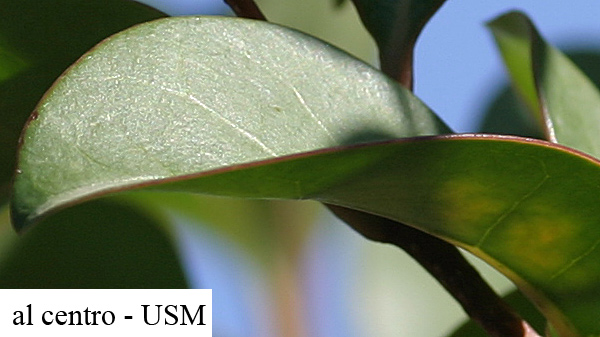 test200_centro_usm.jpg