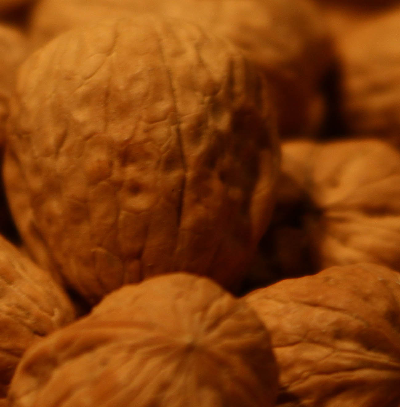 test tamron f2.8 1-25sec 200 iso 75mm.jpg