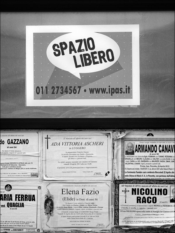 tn_P5234721 bn web.jpg