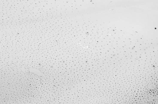 Untitled-1.jpg