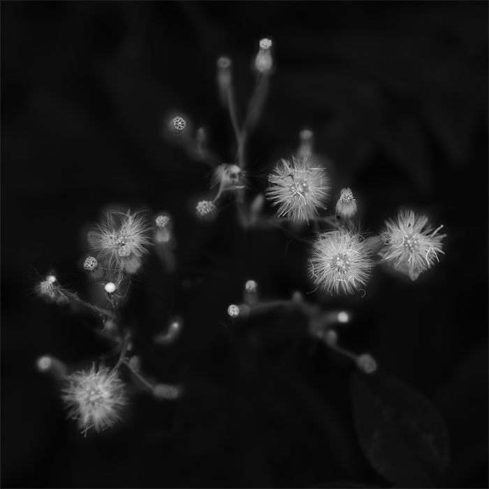 Untitled-1.jpg