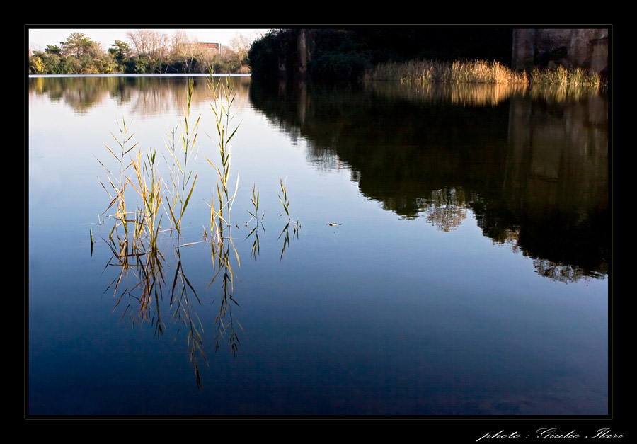 Untitled-7.jpg