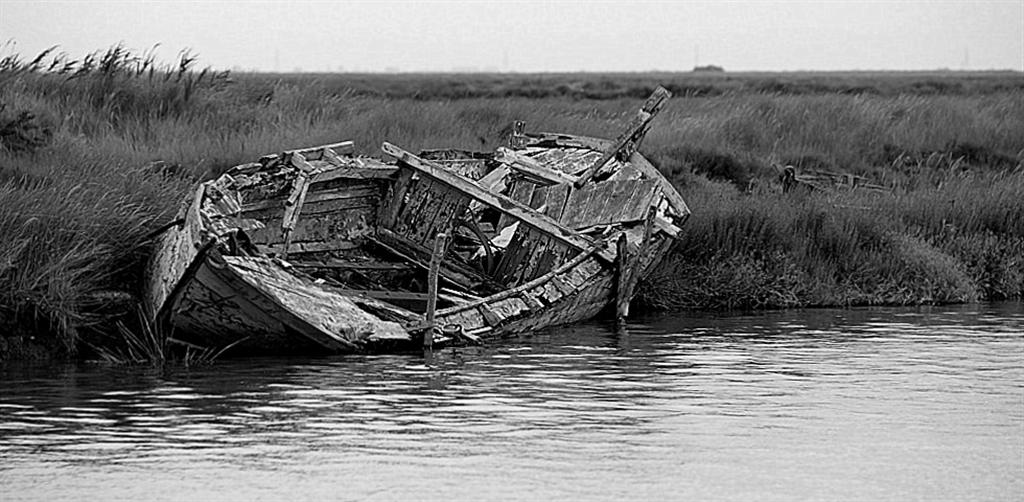 untitled.bmp (Large).jpg