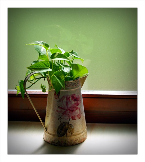 variante pianta bagno.JPG