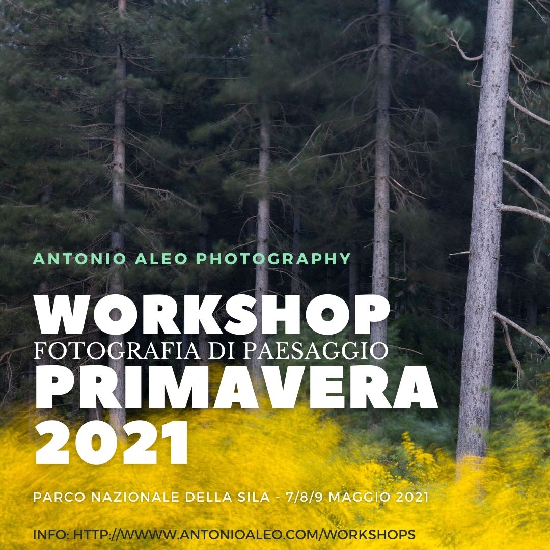 Verde Aurora Boreale Viaggio Località Instagram Post.jpg