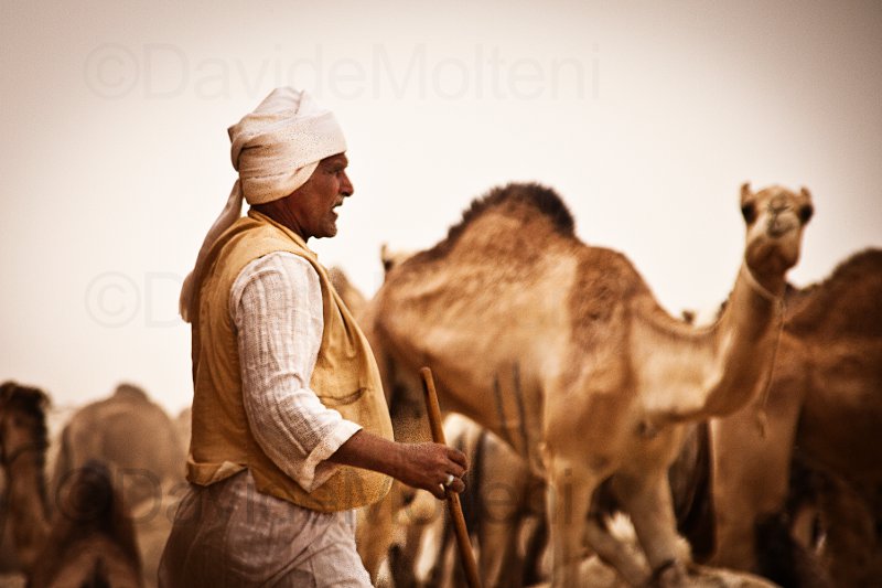 vigile controllo.jpg