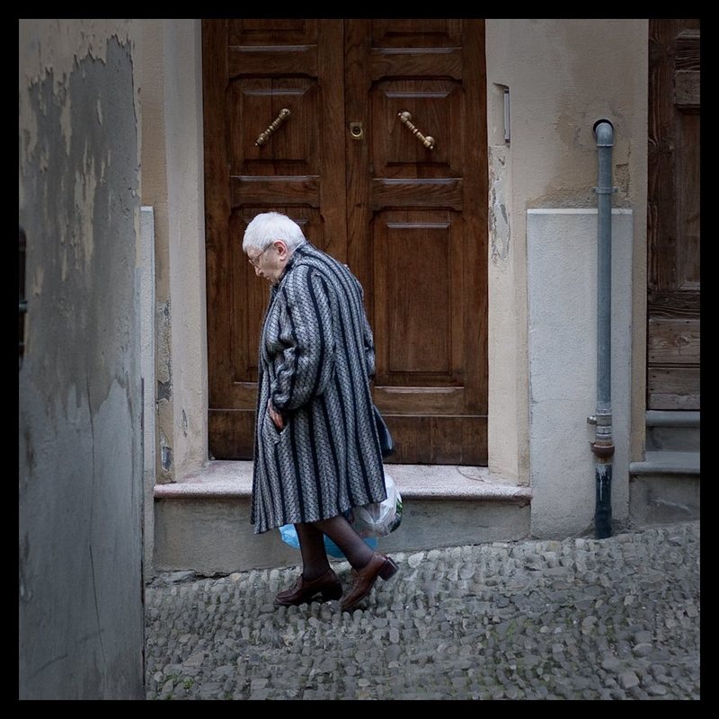 Vite in discesa (Natural Color).jpg