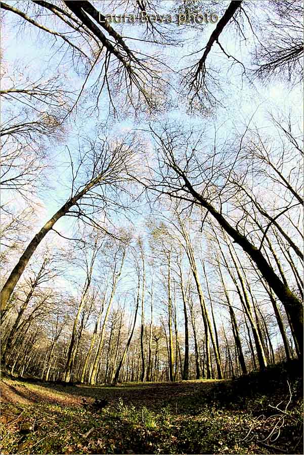 web IMG_9979 photo 4 you -magenta + nitidezza.jpg