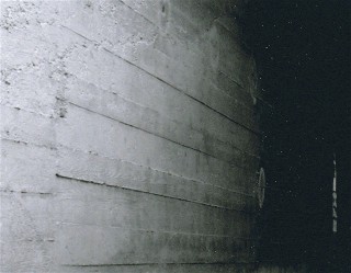 Web Senza-titolo-1.jpg