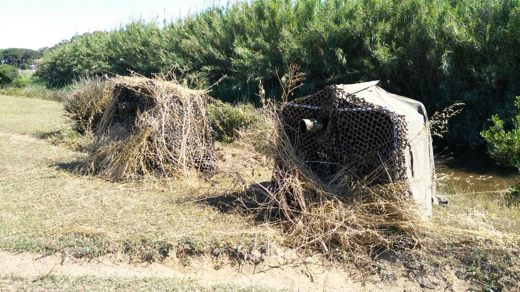 WhatsApp Image 2017-05-28 at 10.06.33.jpeg