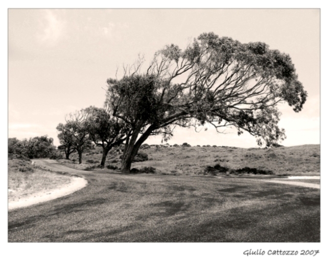 With nothing left to lose 1....jpg