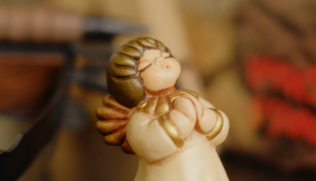 XE2_DSCF4472_35-30-f1.8-1250 crop.jpg