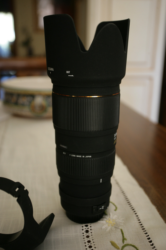 XO1U3036.JPG