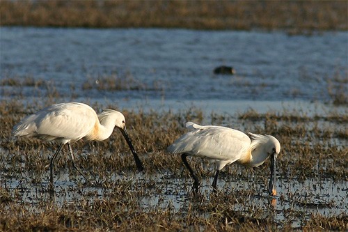 zzz_Senza titolo-1.jpg
